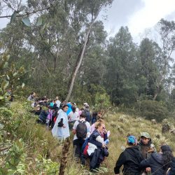 Cada árbol sembrado es un paso firme hacia un mundo más verde y solidario.
