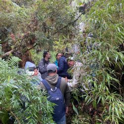 Con cada árbol sembrado, crece también nuestro compromiso solidario.