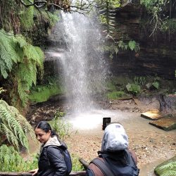 La naturaleza nos devuelve lo que sembramos. CBC deja su huella verde.
