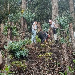 Manos unidas por el planeta: 90 árboles, 90 razones para seguir creciendo.