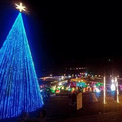 WhatsApp Image 2025-12-15 at 12.27.22 PM (1)