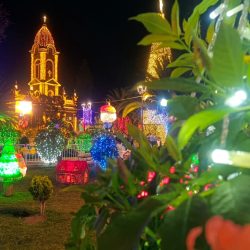 WhatsApp Image 2025-12-15 at 12.27.23 PM (2)