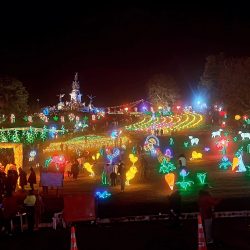 WhatsApp Image 2025-12-15 at 12.27.24 PM (2)