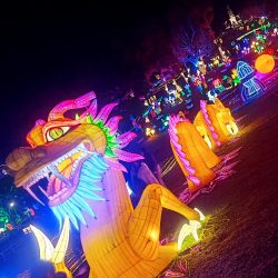 WhatsApp Image 2025-12-15 at 12.27.24 PM