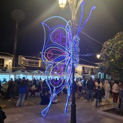 WhatsApp Image 2025-12-15 at 12.30.49 PM (1)