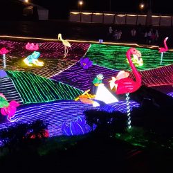 WhatsApp Image 2025-12-15 at 12.30.49 PM