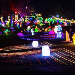 WhatsApp Image 2025-12-15 at 12.30.58 PM