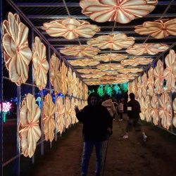 WhatsApp Image 2025-12-15 at 12.31.38 PM (1)