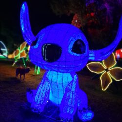 WhatsApp Image 2025-12-15 at 12.31.38 PM (2)