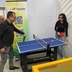 Ping Pong